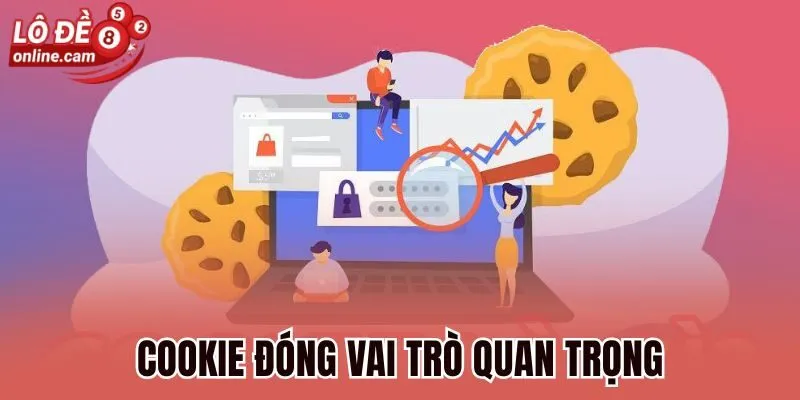 Cookie đóng vai trò quan trọng