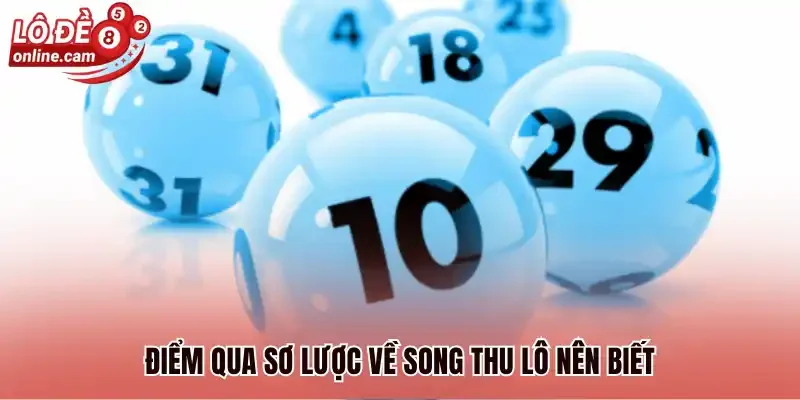 Điểm qua sơ lược về song thu lô nên biết