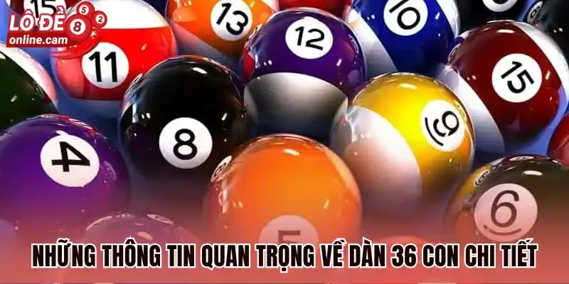 Dàn 36 Con - 3+ Cách Nuôi Dàn Đề Hiệu Quả Dành Cho Người Mới 1 Những thông tin quan trọng về dàn 36 con chi tiết