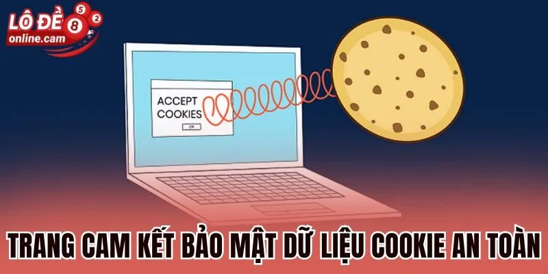 Trang cam kết bảo mật dữ liệu cookie an toàn