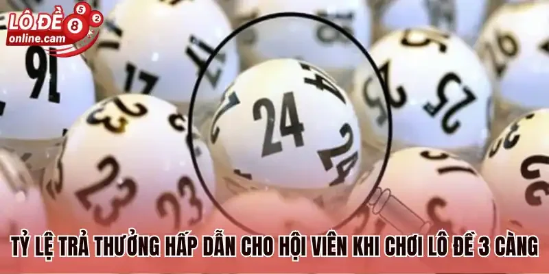 Đề 3 Càng - Cơ Hội Nhận Thưởng Lên Đến Hàng Chục Triệu VND 2 Tỷ lệ trả thưởng hấp dẫn cho hội viên khi chơi lô đề 3 càng