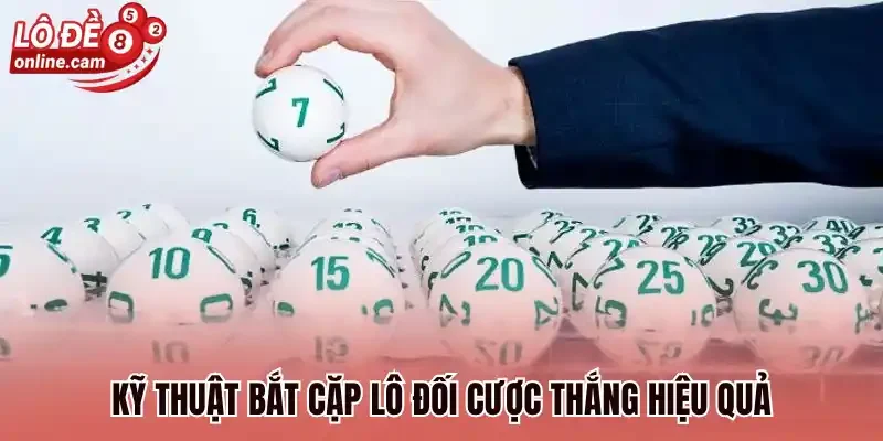 Cặp Lô Đối Là Gì? Bí Kíp Vàng Chọn Số Kiếm Thưởng Bất Bại 1 Kỹ thuật bắt cặp lô đối cược thắng hiệu quả
